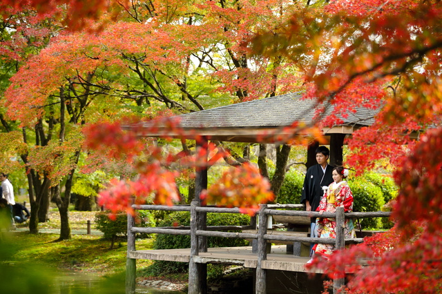 京都府立植物園で前撮り