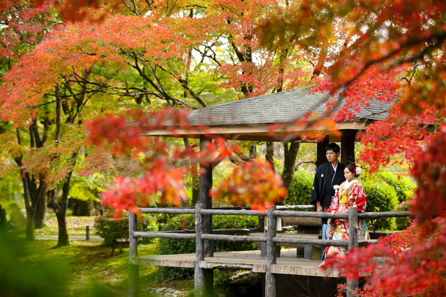 京都府立植物園有料化に伴うテレビ取材
