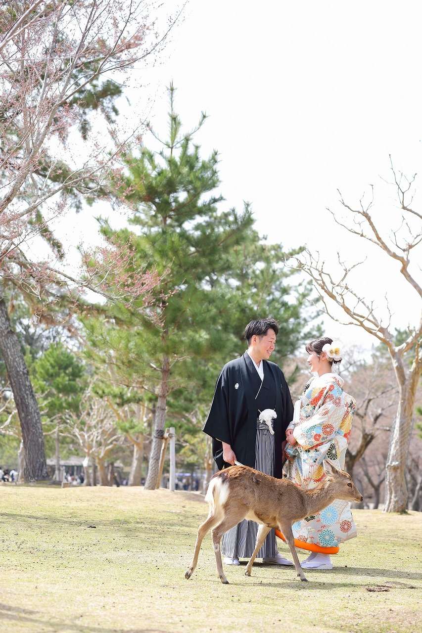 京都祇園 三々九度